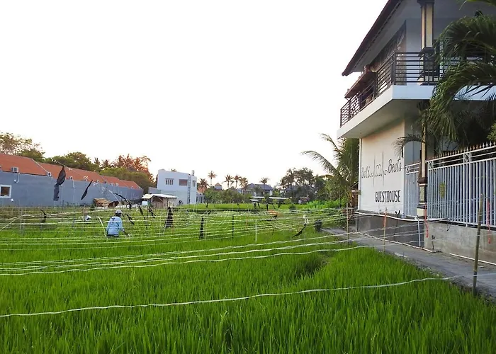 Surfers House Berawa ホステル チャングー